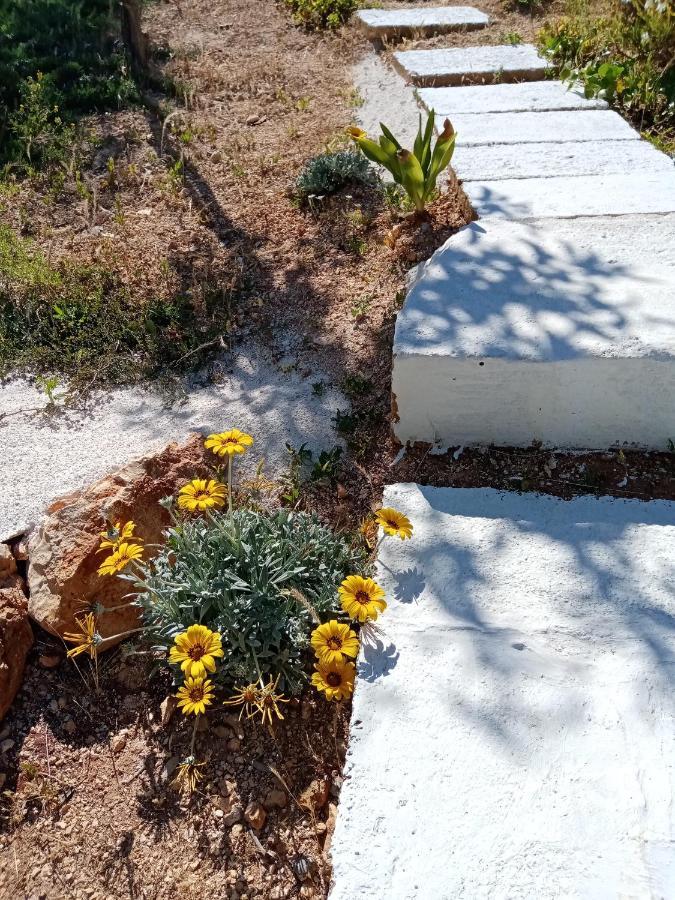 Villa Trulli La collinetta Martina Franca Esterno foto